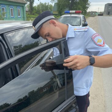 В р.п. Новоспасское сотрудники Госавтоинспекции совместно с ДНД провели рейд по выявлению тонированных автомобилей