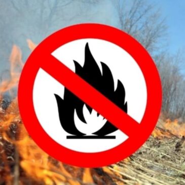 В Ульяновской области на полмесяца введут особый противопожарный режим